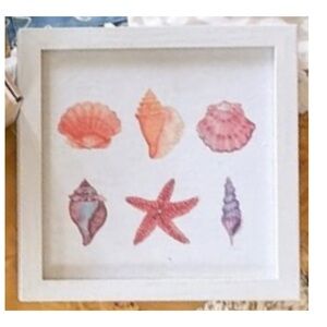 Seashells Picture in Wooden Frame 9x9 NEW
From Beachly Box